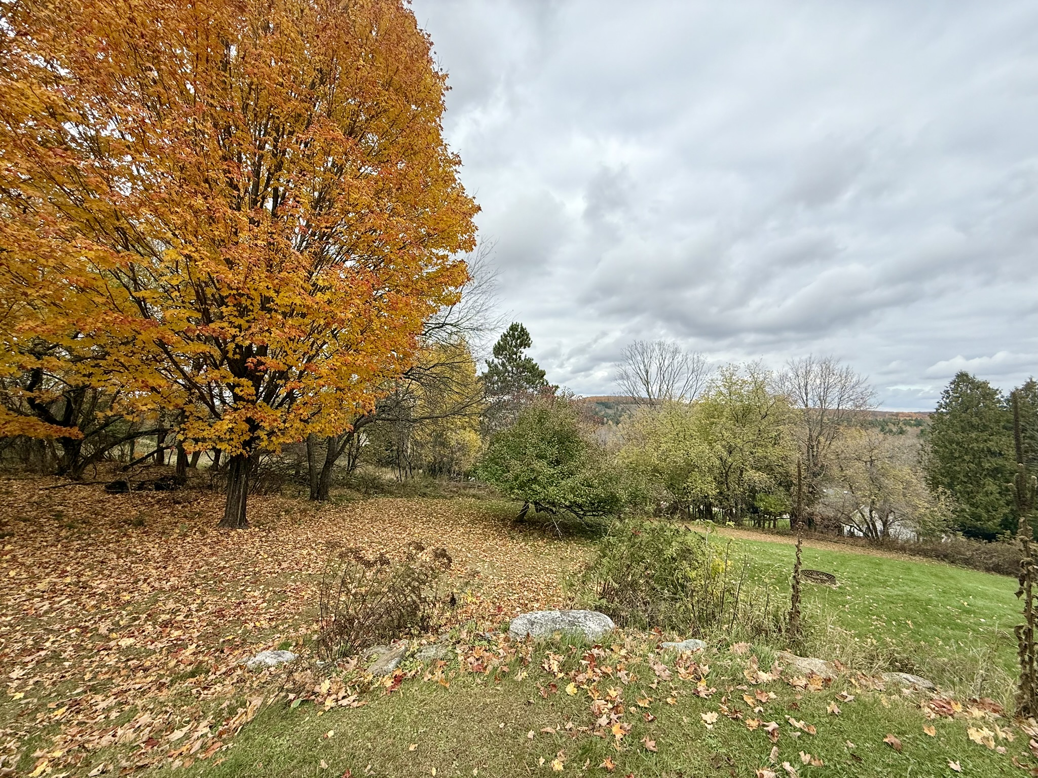 Listing Image #